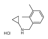 N-(2,3-二甲基苄基)环丙胺盐酸盐结构式