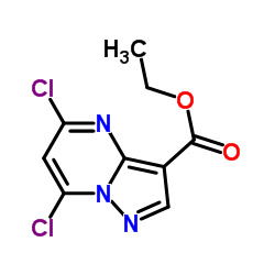 ETHYL 5,7-DICHLOROPYRAZOLO[1,5-A]PYRIMIDINE-3-CARBOXYLATE picture