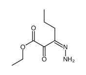 ethyl 3-hydrazinylidene-2-oxohexanoate Structure