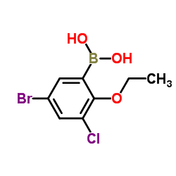 5-Bromo-3-chloro-2-ethoxyphenylboronic acid structure