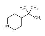 4-tert-butylpiperidine Structure
