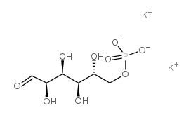 D-葡萄糖-6-磷酸结构式