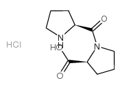 H-Pro-Pro-OH · HCl Structure