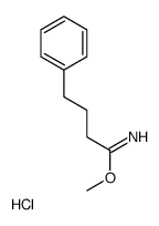 methyl 4-phenylbutanimidate,hydrochloride Structure