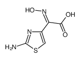 (2Z)-2-(2-amino-1,3-thiazol-4-yl)-2-hydroxyiminoacetic acid Structure