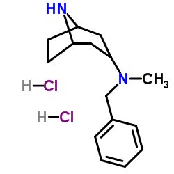 N-Benzyl-N-methyl-8-azabicyclo[3.2.1]octan-3-amine dihydrochloride Structure
