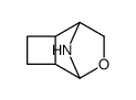 7-Oxa-9-azatricyclo[4.2.1.02,5]nonane(9CI)结构式