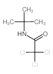Acetamide,2,2,2-trichloro-N-(1,1-dimethylethyl)- Structure