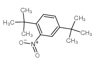 2,5-二叔丁基硝基苯结构式