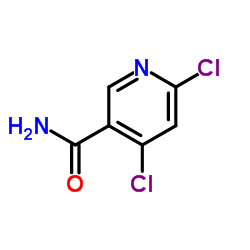 4,6-二氯吡啶-3-酰胺结构式