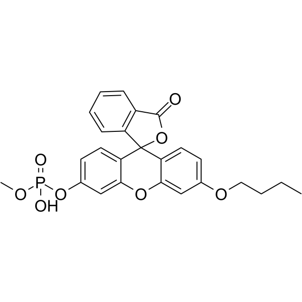 O-甲基-O-(N-丁基荧光素)磷酸酯结构式
