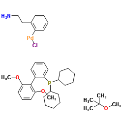 Chloro(2-dicyclohexylphosphino-2',6'-dimethoxy-1,1'-biphenyl)[2-(2-aminoethylphenyl)]palladium(II) structure