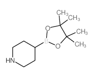 Piperidine-4-boronic acid pinacol ester structure