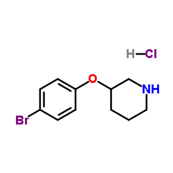 3-(4-Bromophenoxy)piperidine hydrochloride (1:1) picture