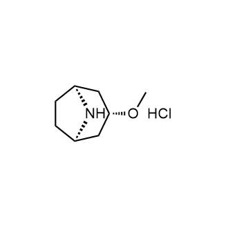 (3-外)-3-甲氧基-8-氮杂双环[3.2.1]辛烷盐酸盐结构式