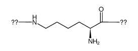聚赖氨酸结构式