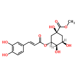 Methyl chlorogenate structure