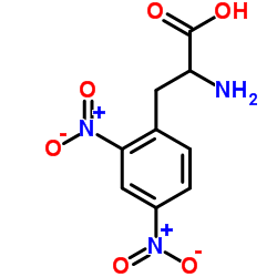 (S)-2-氨基-3-(2,4-二硝基苯基)丙酸结构式