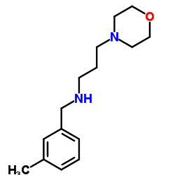 N-(3-Methylbenzyl)-3-(4-morpholinyl)-1-propanamine Structure