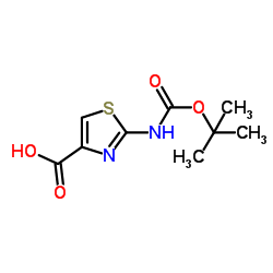 2-BOC-氨基噻唑-4-羧酸结构式