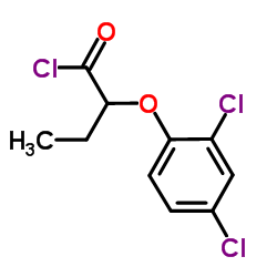 2-(2,4-Dichlorophenoxy)butanoyl chloride结构式