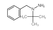 1-benzyl-1-tert-butyl-hydrazine Structure