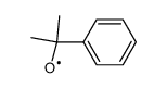 cumyloxy radical结构式