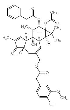 聚丙肝病毒结构式