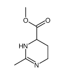 4-Pyrimidinecarboxylicacid,1,4,5,6-tetrahydro-2-methyl-,methylester(9CI)结构式