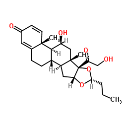 Budesonide picture