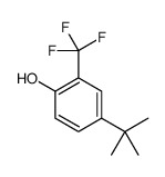4-tert-butyl-2-(trifluoromethyl)phenol结构式