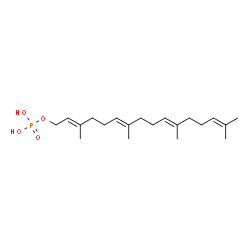 geranylgeraniol monophosphate结构式