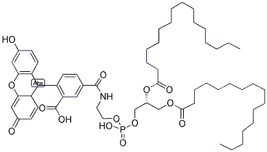 1,2-二油酰基-sn-甘油-3-磷酸乙醇胺,荧光素标记结构式