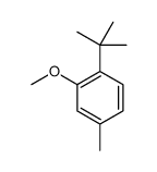 2-tert-butyl-5-methyl anisole结构式
