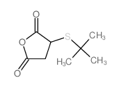 3-tert-butylsulfanyloxolane-2,5-dione结构式