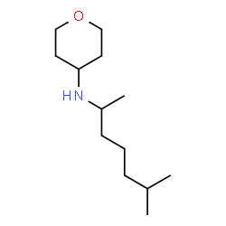 N-(6-methylheptan-2-yl)oxan-4-amine Structure