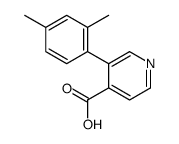 3-(2,4-dimethylphenyl)pyridine-4-carboxylic acid结构式
