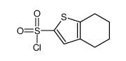 Benzo[b]thiophene-2-sulfonyl chloride, 4,5,6,7-tetrahydro- (9CI) Structure