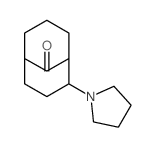 8-pyrrolidin-1-ylbicyclo[3.3.1]nonan-9-one Structure