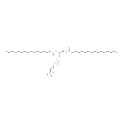 1,2-Dipalmitoyl-13C-sn-glycero-3-PC Structure