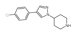 4-[4-(4-Chlorophenyl)-1H-pyrazol-1-yl]piperidine picture