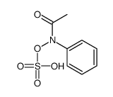 (N-acetylanilino) hydrogen sulfate Structure