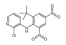 N-(2-tert-butyl-4,6-dinitrophenyl)-2-chloropyridin-3-amine结构式