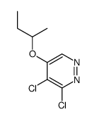 5-butan-2-yloxy-3,4-dichloropyridazine Structure