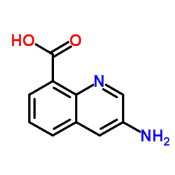 3-氨基喹啉-8-羧酸结构式
