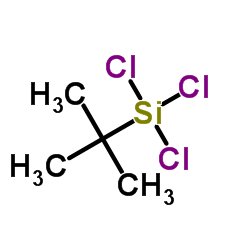tert-butyl(trichloro)silane Structure