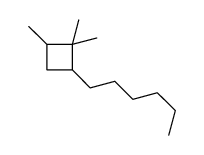 2-hexyl-1,1,4-trimethylcyclobutane结构式