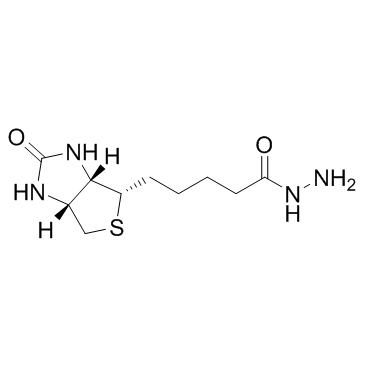 生物素酰肼结构式