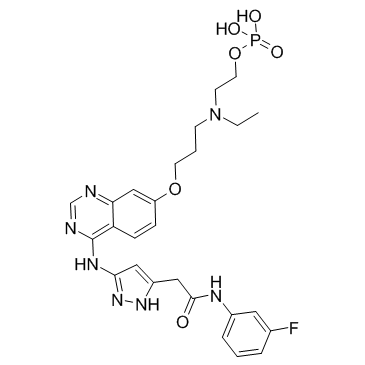 5-[[7-[3-[乙基[2-(磷酰氧基)乙基]氨基]丙氧基]-4-喹唑啉基]氨基]-N-(3-氟苯基)-1H-吡唑-3-乙酰胺结构式