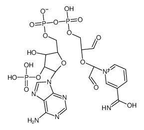 2',3'-dialdehyde NADP结构式